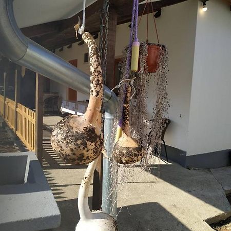 Seosko Turisticko Domacinstvo Milka Apartman Čačak Kültér fotó