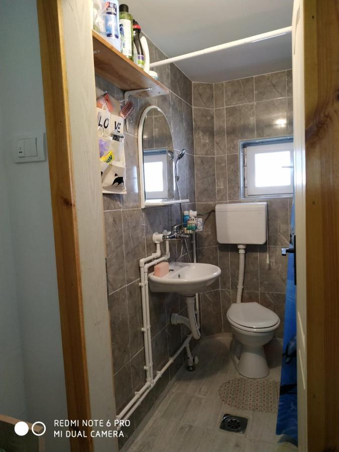 Seosko Turisticko Domacinstvo Milka Apartman Čačak Kültér fotó