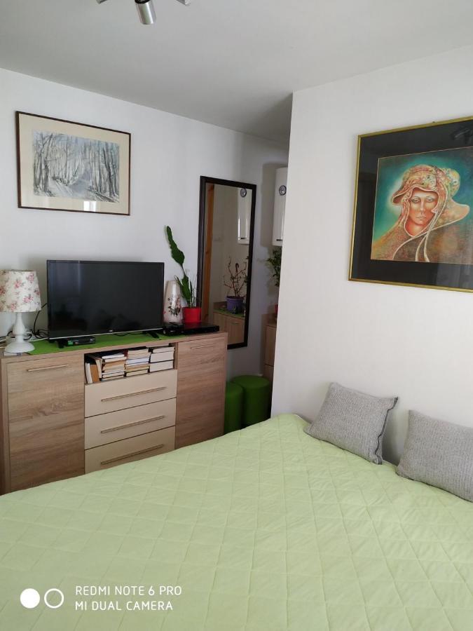 Seosko Turisticko Domacinstvo Milka Apartman Čačak Kültér fotó
