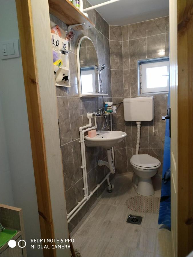 Seosko Turisticko Domacinstvo Milka Apartman Čačak Kültér fotó